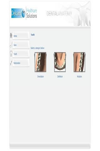 Dental Anatomy截图1