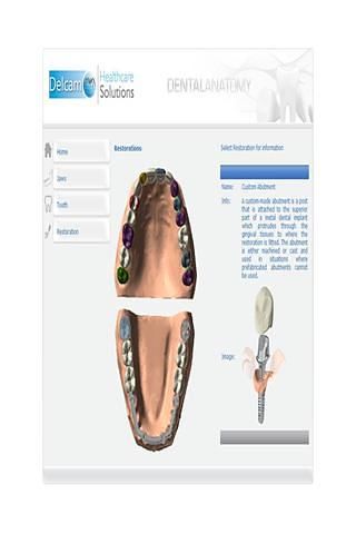 Dental Anatomy截图2