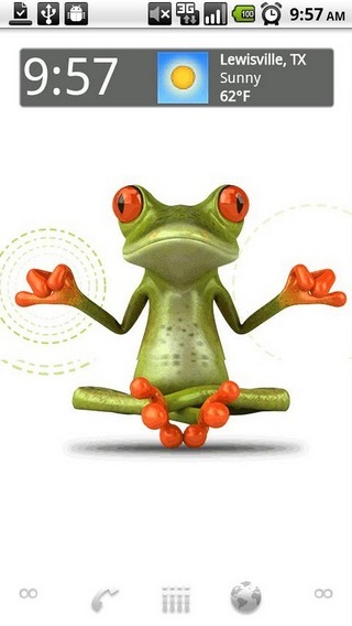 Zen Frog LWP截图1