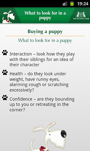 Kennel Club Puppy截图5