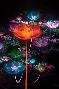 3D花动态壁纸截图3