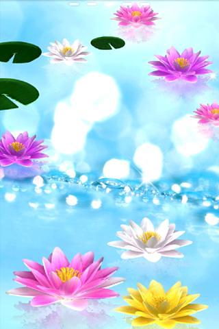 Water Lily Bell-Trial截图1