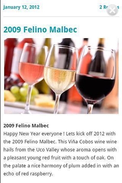Wine Guide Argentina截图
