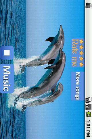 海豚 - 放松的声音截图3