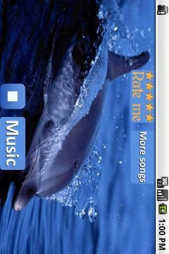 海豚 - 放松的声音截图