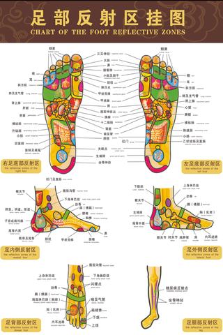 足部穴位图截图2