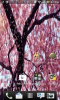 Cherry Blossom Live Wallpaper 2.0.3截图1