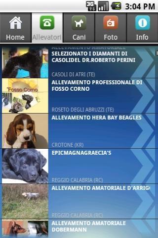 dogs puppies breeders in ITALY截图1