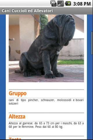 dogs puppies breeders in ITALY截图2
