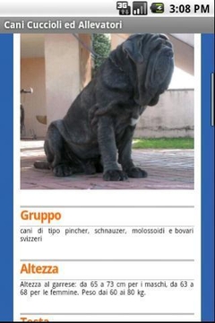 dogs puppies breeders in ITALY截图