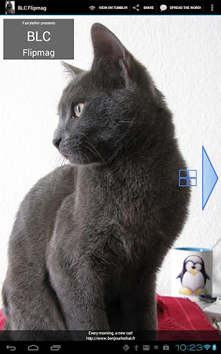 Bonjour Le Chat Flipmag截图2