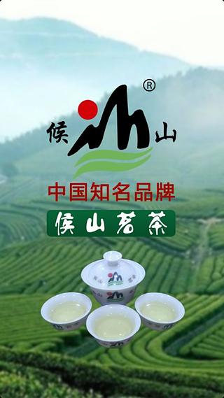 候山茗茶截图1