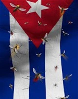 Cuba截图4