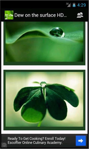 Raindrops HD Wallpapers截图4