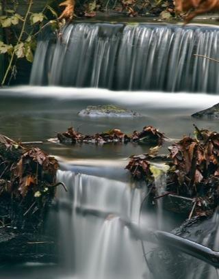 Freshwater Streams截图4