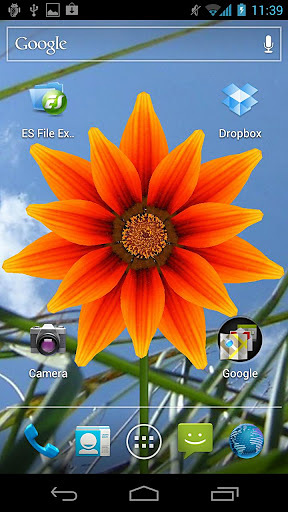 Pakistan flower 3D wallpaper截图2