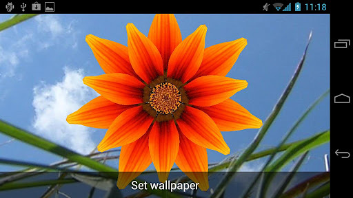 Pakistan flower 3D wallpaper截图4