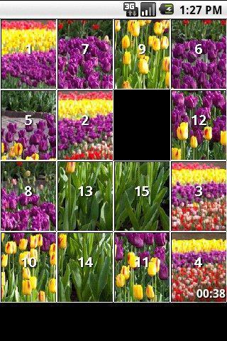 Spring Flower Puzzles截图1