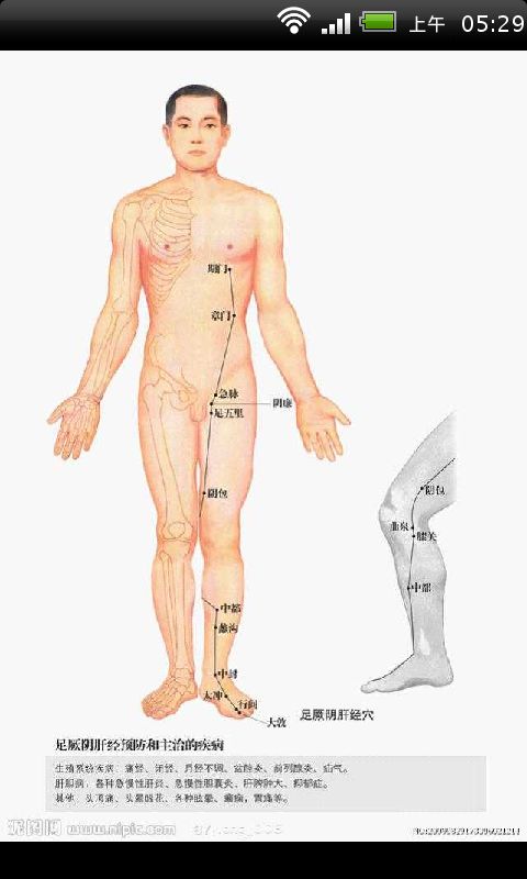 中医健康养生全身经络穴位高清图截图2