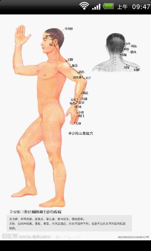 中医健康养生全身经络穴位高清图截图3