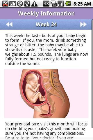 NeevoDHA Pregnancy Calculator截图2