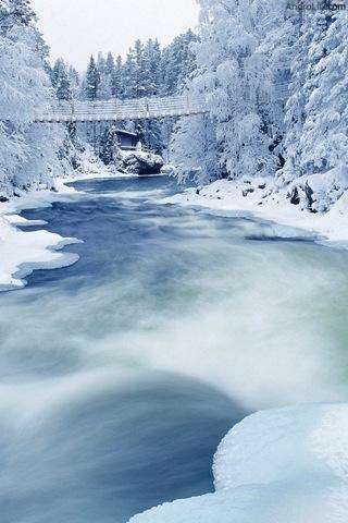 雪景壁纸截图2