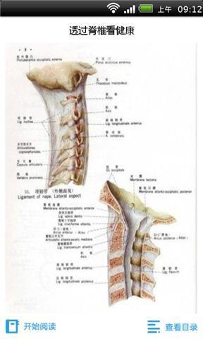 透过脊椎看健康截图4