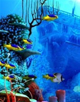 3D海洋水族馆截图3