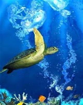 3D海洋水族馆截图4