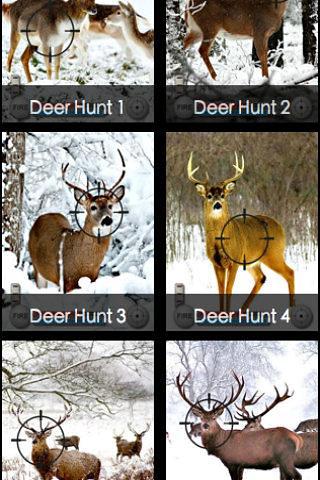 Deer Hunts截图1