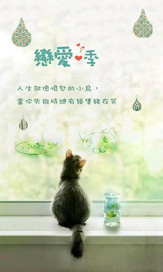 qq猫主题动态壁纸截图1