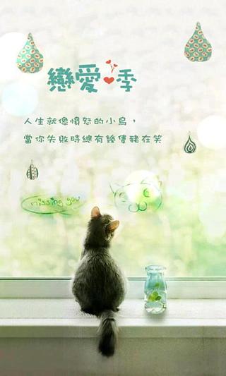 qq猫主题动态壁纸截图3