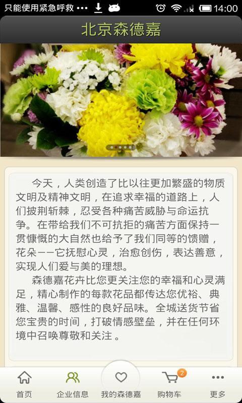 森德嘉鲜花截图2