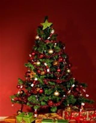 Beautiful Christmas Tree HD Live Wallpapers截图1