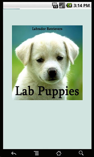 Lab Puppies截图1