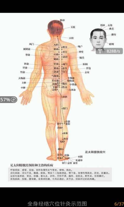 全身经络穴位针灸示范图截图5