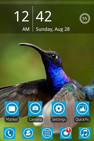 Blue Bird Launcher  Theme截图1