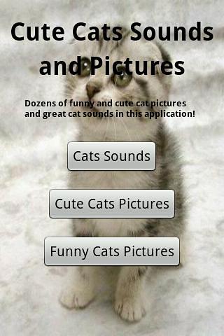 Cats Sounds截图3