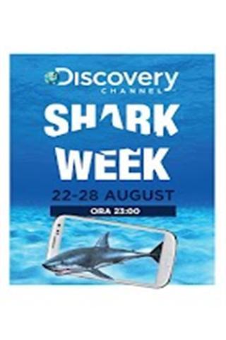 Shark Week截图4