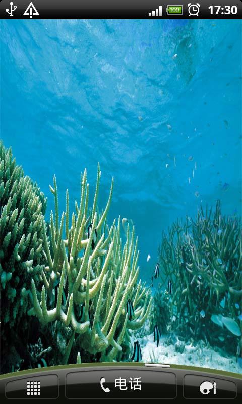 海底海藻壁纸截图1