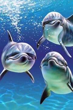 3D海豚和大海截图