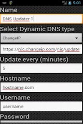DNS服务器截图3