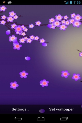 Plum Flower 梅花截图2