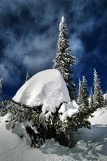 尼斯的冬季雪圖片截图2