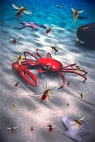 海滩蟹截图4