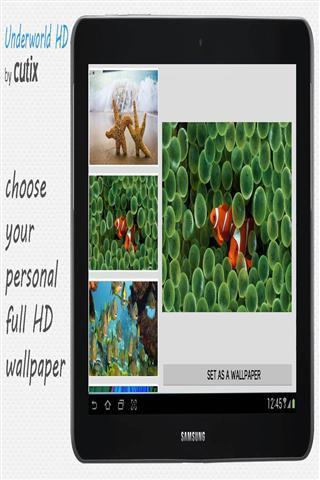 海底世界壁纸(高清版)截图2