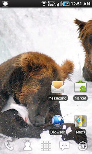 Katmai Bears截图4