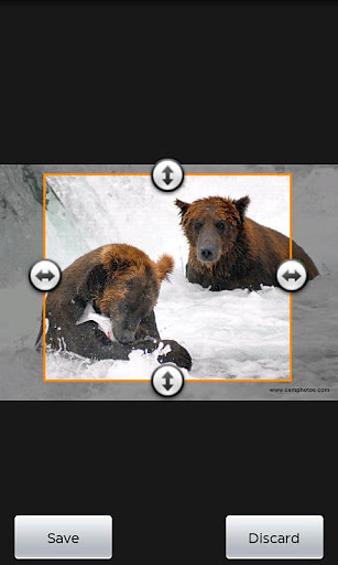 Katmai Bears截图5