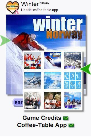 冬季运动挪威（键）截图1