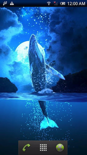 Whale MoonWave Free截图1